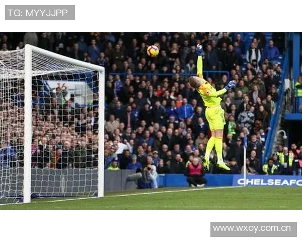 阿雷奥拉创英超本赛季扑救纪录皮克福德也有精彩表现